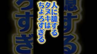 たぬき の Vtuber はチョロい？ #shorts #Vtuber #あるある #切り抜き