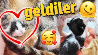 Bunu siz istediniiiizzz.!! 😆