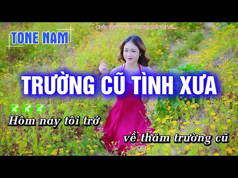 [ KARAOKE ] Trường Cũ Tình Xưa Tone Nam ( HAY NHẤT ) Hoàng Dũng Karaoke