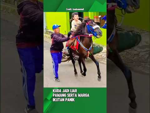 Tiba-tiba menjadi liar, pawang ikutan panik