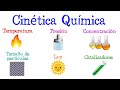 Cuestionario sobre Cinética Química