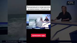 #storytime #новости #новостисегодня #рассказ #news #факты