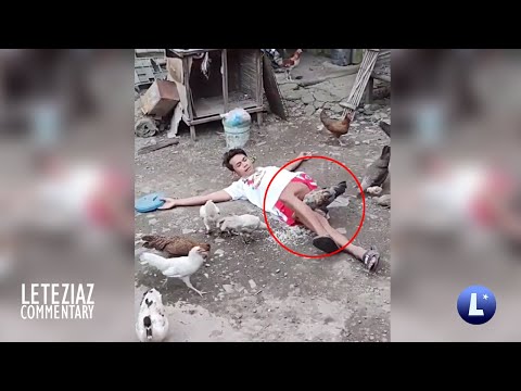 Manok Tinuka Ang Perlas Ni Beshy Funny Videos Compilation