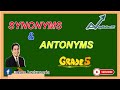 Synonyms and Antonyms Practice