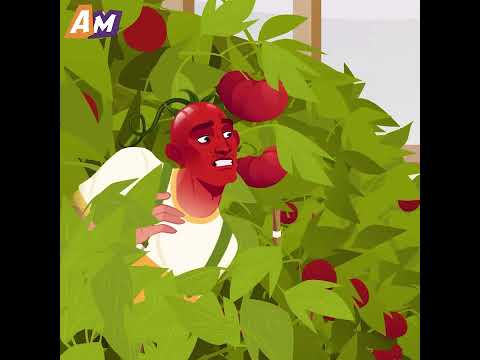 The girl kissed a tomato and it came to life @AniMatters.official