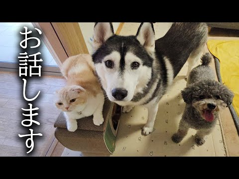 皆様に黙っていたことがあります...