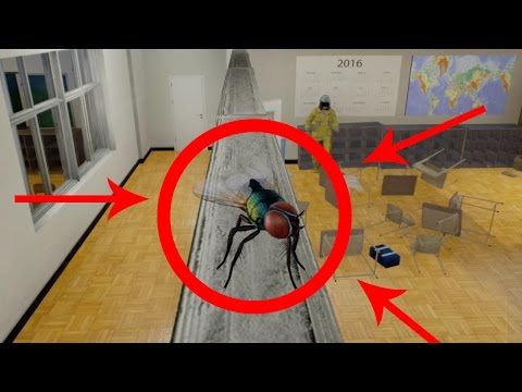Slap The Fly #17 - ODKRYŁEM KRYJÓWKĘ W ŚCIANIE!! NAJLEPSZY BUG! /w Purpose, HunterBright, Swiatek