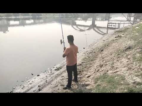 Fish catching video in village river 2025 amazing fish catching video