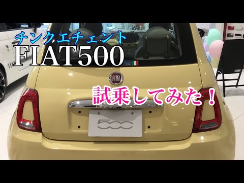 免許とりたて3ヶ月でFIAT500を試乗してみた‼︎