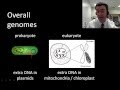 Prokaryotes vs. Eukaryotes: Genomic Differences and Similarities