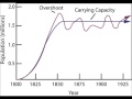 Exploring Population Dynamics and Limiting Factors
