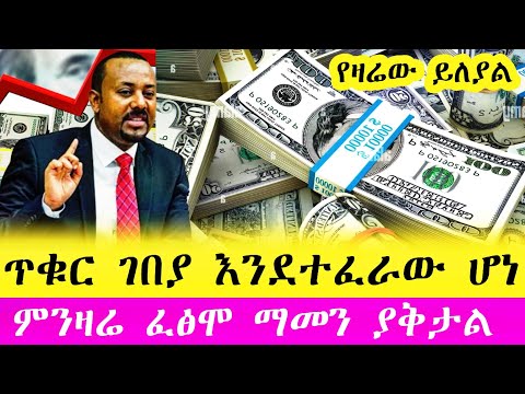 ጥቁር ገበያ ሀዋላ ምንዛሬ በታምኑም ባታምኑም በጣም ጉድ አመጣ | Hawala currency #ethiopia #abtube #money #dolar #seifu