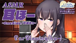 [ASMR] 耳ほー -片耳ずつ- / Ear Blowing Sounds (ho~) #01 [ 声なし | No Talking ]