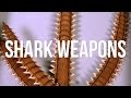 Shark Tooth Weaponry and Historical Insights