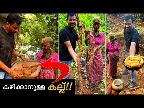 കല്ലും കാട്ട് കിഴങ്ങും കഴിച്ച് ജീവിക്കുന്ന തൊണ്ണൂറ് വയസ്സുള്ള അമ്മ..😱 kasaragod