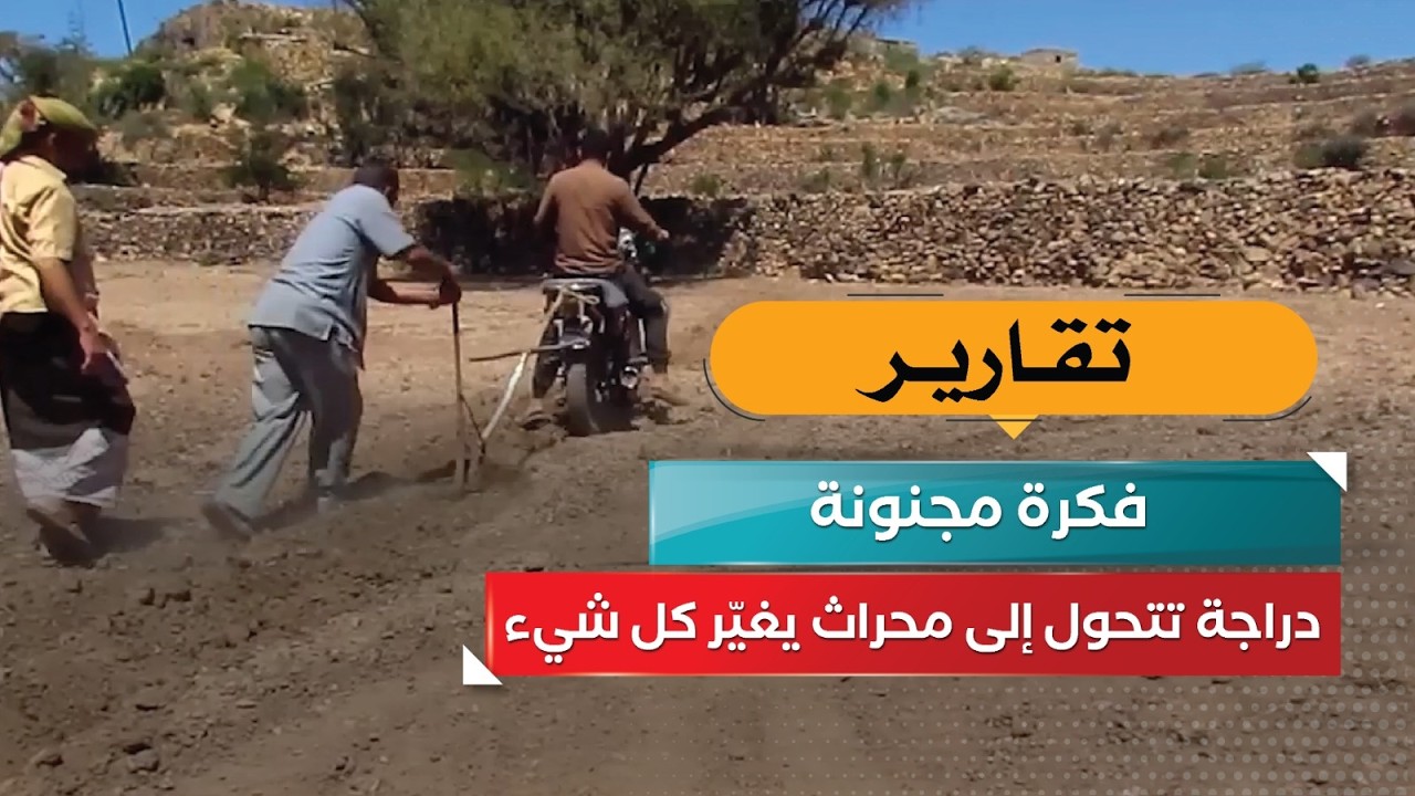 قناة السعيدة