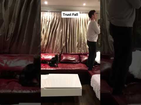 I Did a Trust Fall with My Cat!