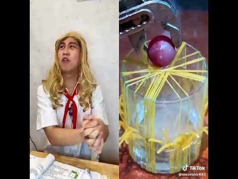 #emcobanglongvequemecunganh