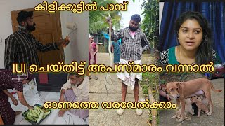 വീട്ടിലെ വിശേഷങ്ങൾ❤️❤️