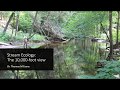 Stream Ecology Concepts and Terminology