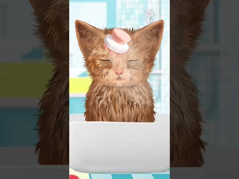 бездомный кот #рекомендации #милый #shorts