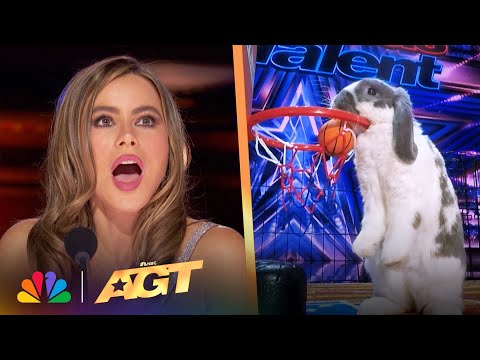 When Animals STEAL The Show! | America's Got Talent