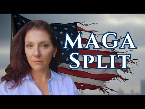 🚨 The Truth About Elon Musk's America Party