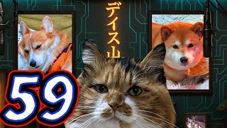 ディス子の部屋 第59回『お話しよう!!』