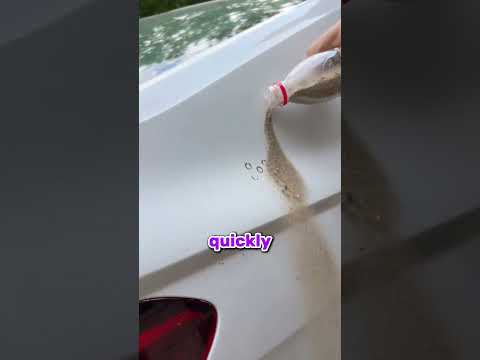 #freerishta