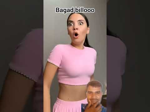 #funny #comedy #animals #pets #humor #cats #cat #amazingmemes #challenge #memes