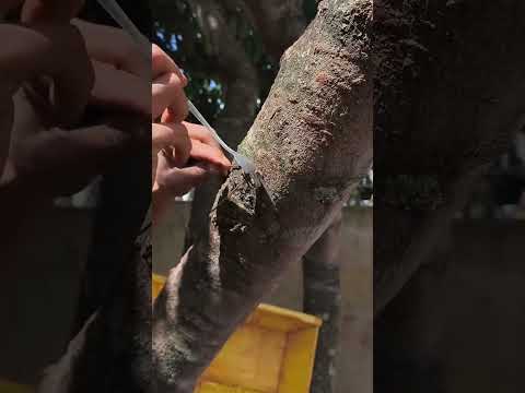 Cara ngikat kabel yang kuat #fyp #shorts #viralvideo