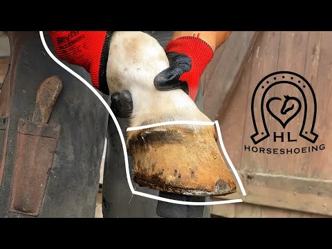 SHOEING DIRTY HOOF | Satisfying HORSESHOEING