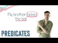 Identifying Simple and Complete Predicates
