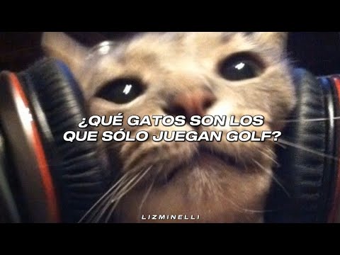 ¿Qué gatos son los que visten Loro Piana? 😸🍷 || Heterocromía - Belinda // Letra. ♡