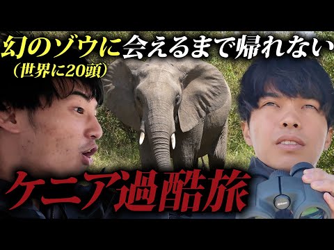 世界に20頭しかいない幻のゾウ見れるまで帰れないサファリ旅。