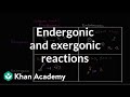 Exploring Energy Reactions: Endergonic vs Exergonic