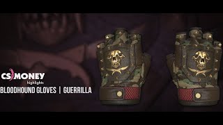 Bloodhound Gloves Guerrilla Gameplay