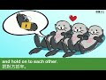 Animal Sleep Habits and Adaptations