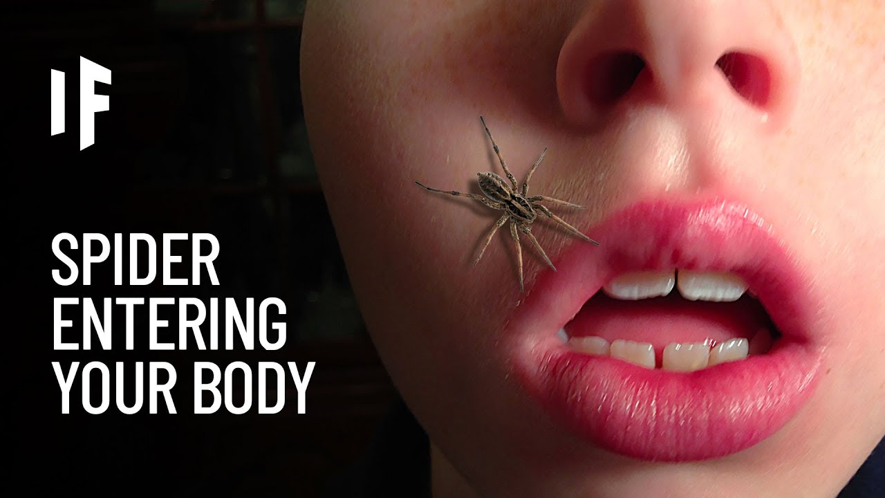 What If a Spider Crawled Into Your Body While You-re Sleeping?