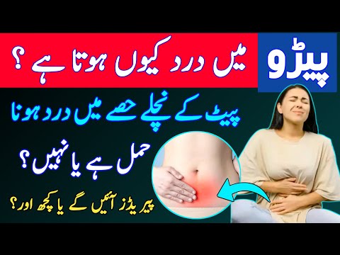 Pet ke Nichle Hisse me Dard Hona |Lower Belly Pain Reason |Lower Abdomen Pain in Female |dr tahir