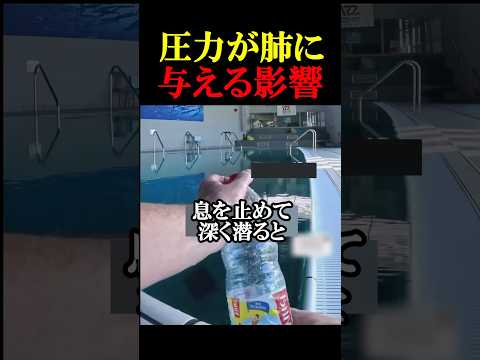 衝撃の実験結果