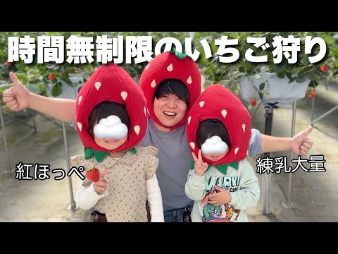 【Vlog】時間無制限のいちご狩りで食べまくり！！【5歳3歳】