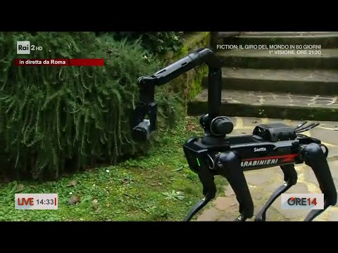 I Carabinieri arruolano Saetta, il primo cane robot - Ore 14 del 03/01/2024