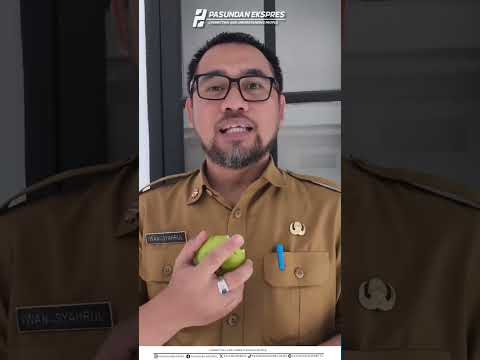 Iwan Syahrul Tawarkan Integrasi Aplikasi untuk Benahi Kinerja Birokrasi Subang