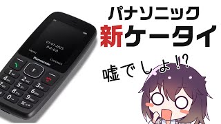 【売れる？】日本の通話専用機需要について考える（Panasonic KX-TF400）