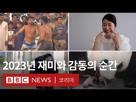 영상으로 보는 2023년: 올해의 재미있고 감동적인 순간들 - BBC News 코리아