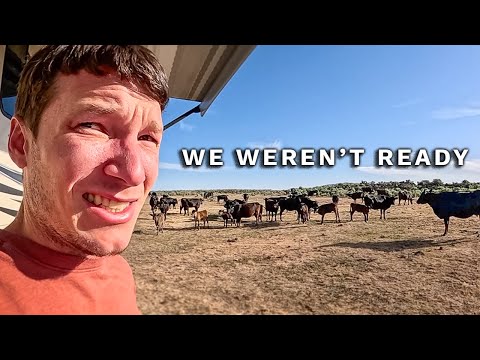 781 Miles in Idaho... Then This Happened