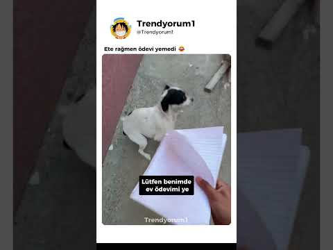 Ödev Korkusundan eti alamadı 😂