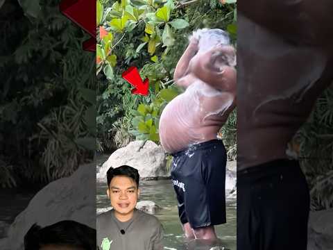 Pesona bapak bapak dengan perut buncitnya