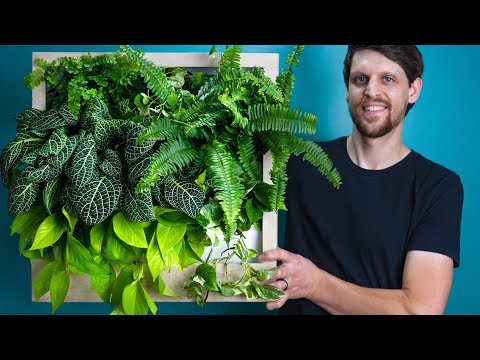 Easy DIY Living Plant Wall that Waters Itself